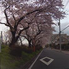 最近の車について… 最近の車について…