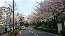 開花と開幕 開花と開幕