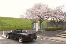 車検と桜と・・・ 車検と桜と・・・
