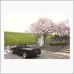 車検と桜と・・・