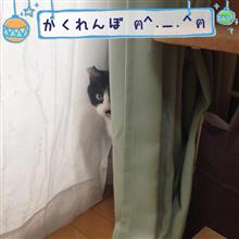 いかないで… いかないで…