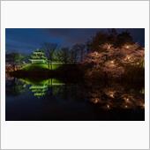 高田公園　三重櫓と桜（4/5）