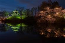 高田公園　三重櫓と桜（4/5）