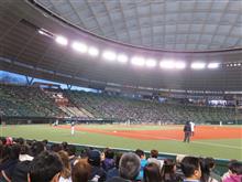 野球観戦（埼玉西武VS北海道日本ハム）