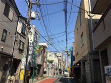 満開の桜の下で・・・