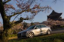 2016.4.2 桜撮影 in 根来寺