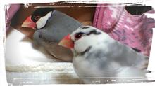 やっとタイヤ交換  (^^;    とか