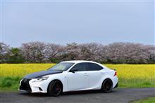 2016桜ドライブ