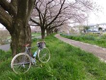 今日の午後走り