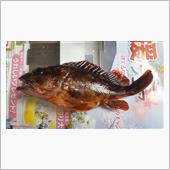メバル、カサゴ釣り～✴