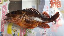 メバル、カサゴ釣り～✴