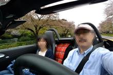 桜も終わり