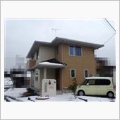 雪が降りました!!