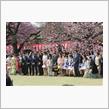 桜を見る会