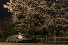 2016.4.5 夜桜撮影 in 祇園