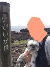オーパーツ⁉︎ ポットホールを見に伊豆城ヶ崎