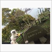 真鶴半島散策 つるちゃん
