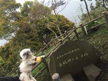 真鶴半島散策 つるちゃん
