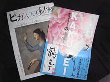 観たいなぁと思っていたら
