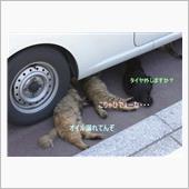 う、運動不足・・・