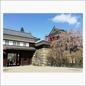 上田城千本桜まつり(^-^* ...
