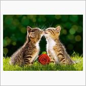 キスは一瞬でしたね♪