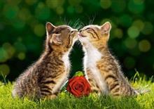 キスは一瞬でしたね♪