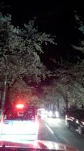 ’16年W16　今週一週間は…。