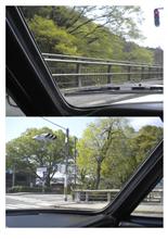 新緑