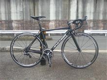 ぶりっとげすとわんの自転車