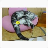 雨ぢゃ～ん　(&#180;･ω･｀)