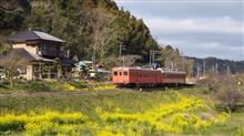 春先の房総キャンプ（2016.03.26-27）