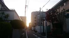 今週も忙しそうだヨ、休みてぇ～ヾ(▼ヘ▼;)!!