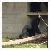 ポカポカからの