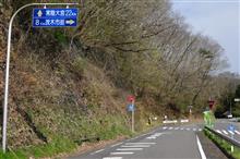 栃木県茂木町の桜①　栃木県道27号那須黒羽茂木線　(2016 .4) 