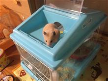 新築！引っ越ししましたぁ