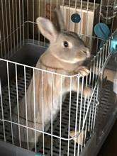 もっふ〜