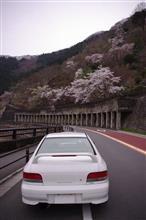 今年の桜旅 今年の桜旅