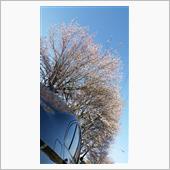 週末Beamer、雪の回廊へ ...