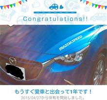 愛車と出会って1年! 愛車と出会って1年!