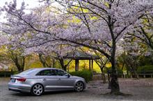 2016年 桜撮影 in 根来寺