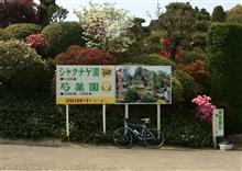 4月27日