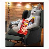 今日も…