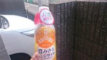 三ツ矢133年目の新発見・・・とな(゜〇゜;)なぬ?????