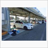 【マーチNISMO S】セミ ...