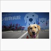 GW前半戦・終了・・・☆