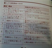 動物病院で、　ハムスターの　本見て　吹いた　　～　　♪