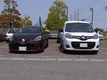 初ネギ畑 初ネギ畑