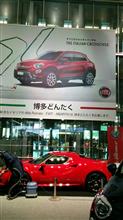 はかた駅前　どんたくストリートを見てきました