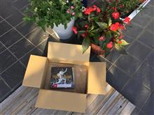 aiko LIVE DVD 『ROCKとALOHA』購入他
